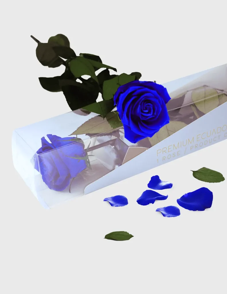 Rosa Preservada azul