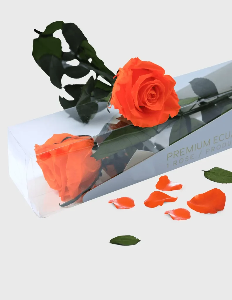 flores preservadas