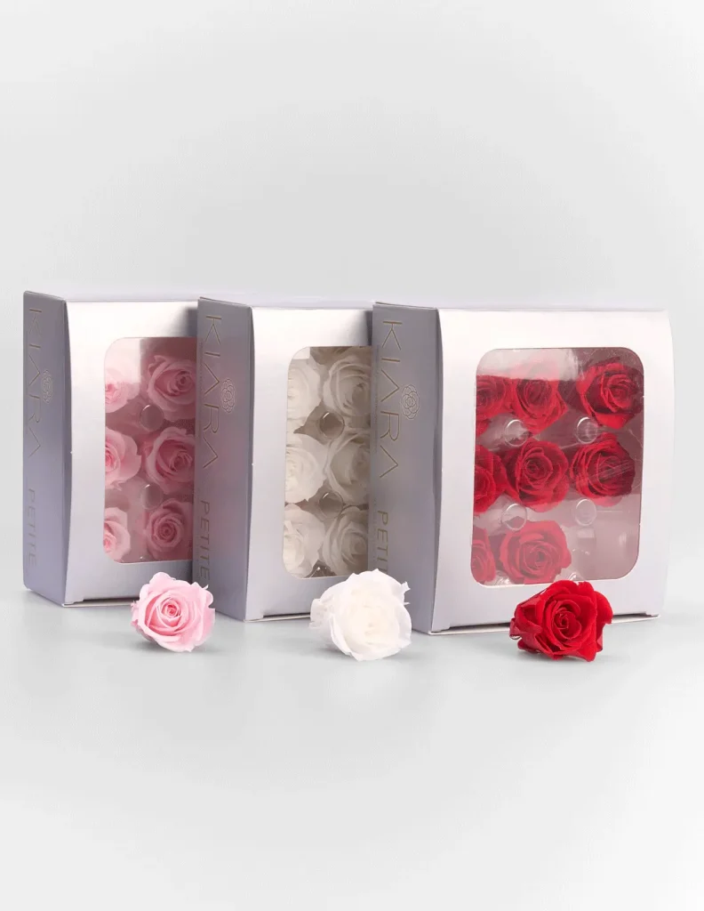 Rosa Preservada mini